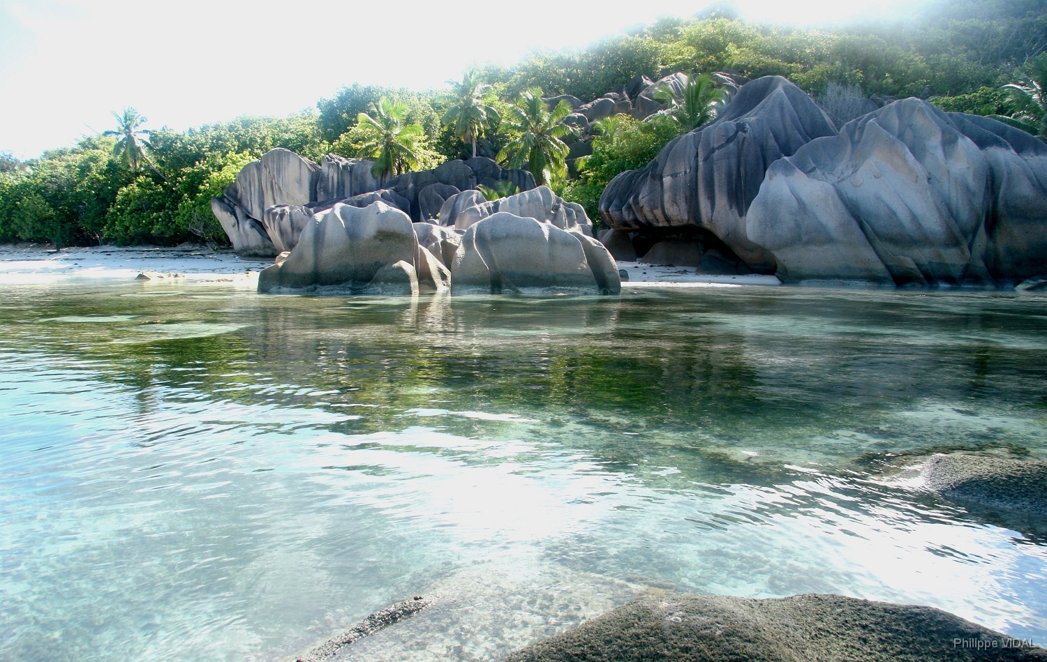 IMG_2192_rf_LA DIGUE_ANSE SOURCE D'ARGENT.jpg